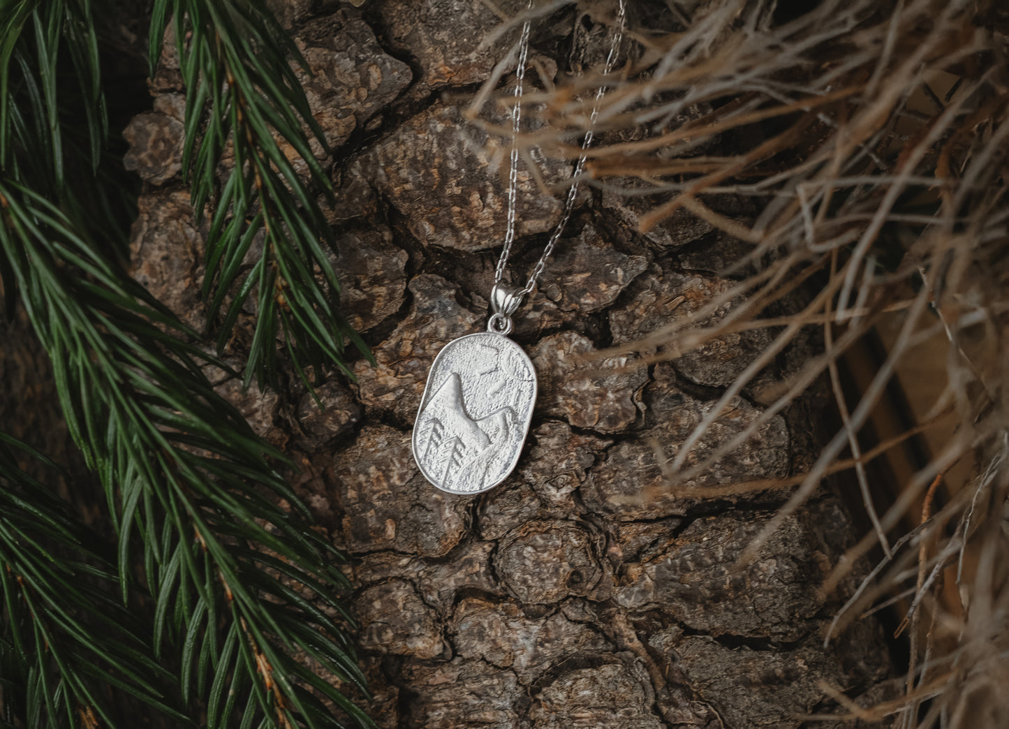 Silberberg Medallion