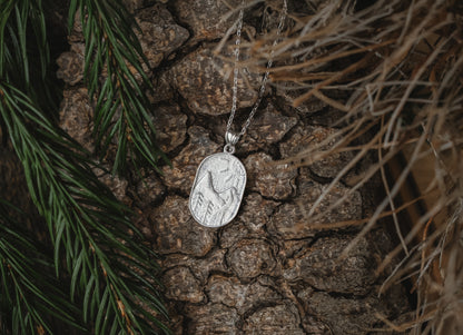 Silberberg Medallion